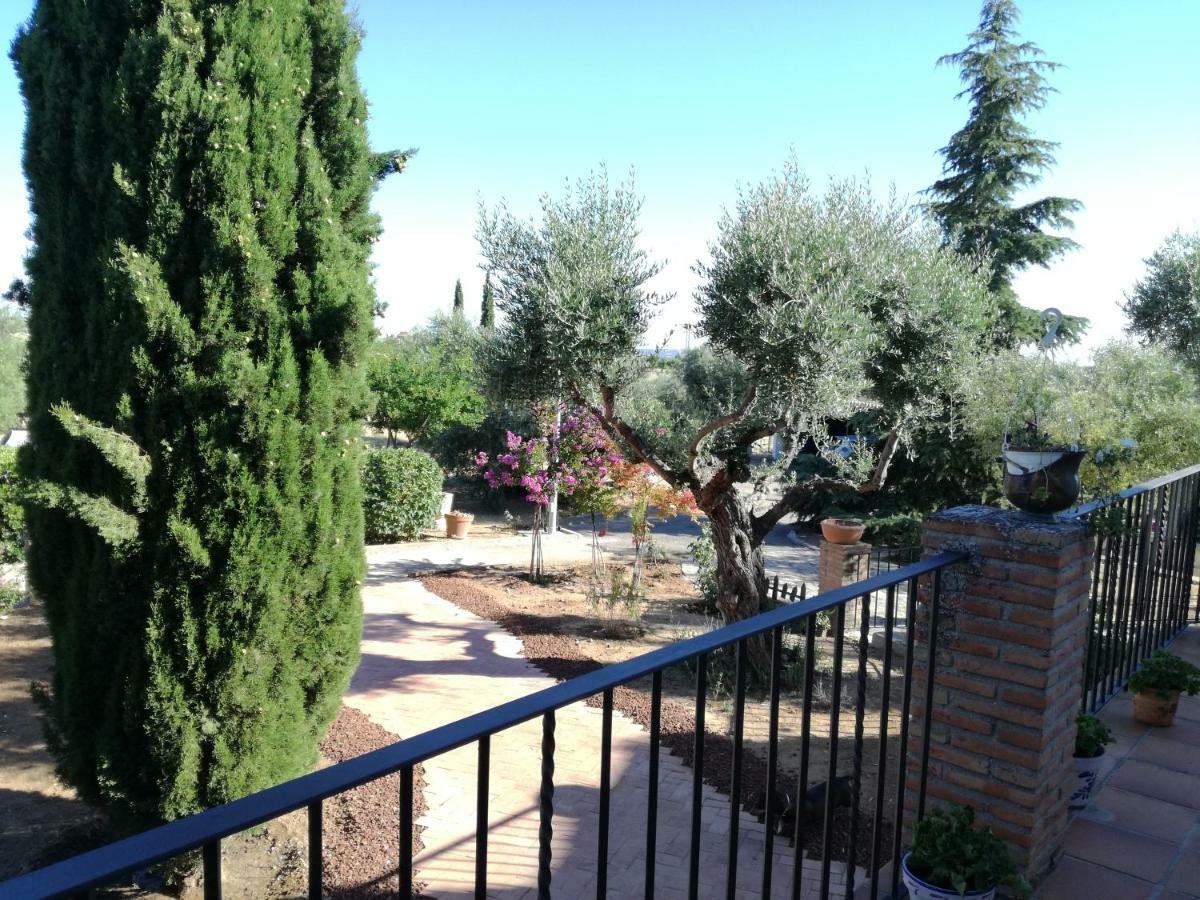 Willa Casa Rural La Amistad Burguillos de Toledo Zewnętrze zdjęcie