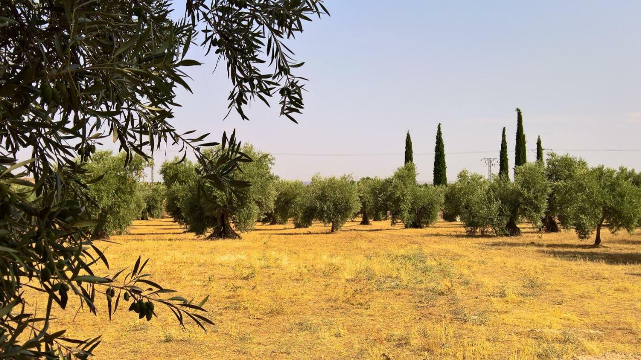 Willa Casa Rural La Amistad Burguillos de Toledo Zewnętrze zdjęcie